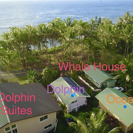 Whale House At Kehena Beach Pahoa Exterior photo