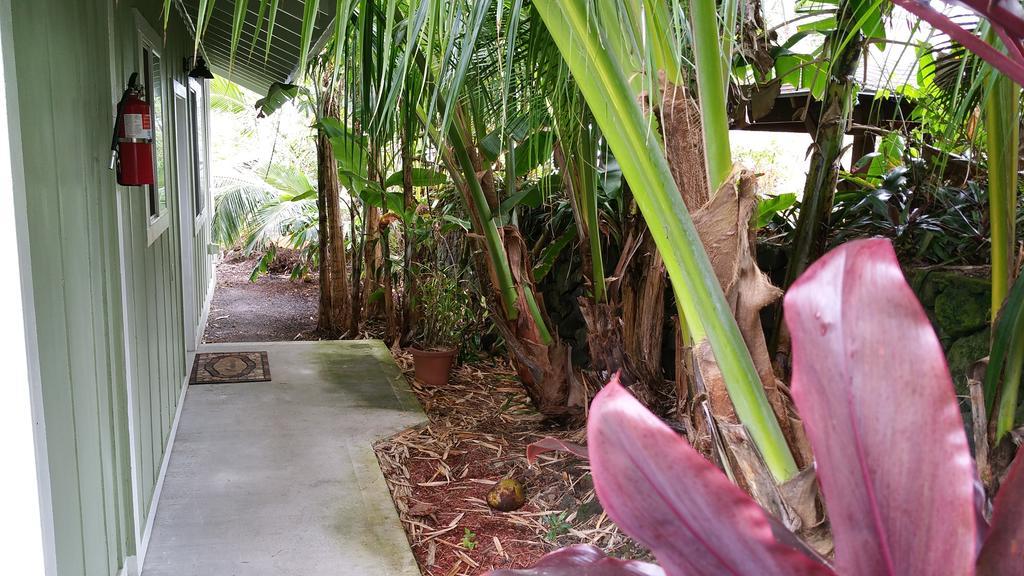 Whale House At Kehena Beach Pahoa Room photo