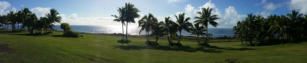Whale House At Kehena Beach Pahoa Room photo
