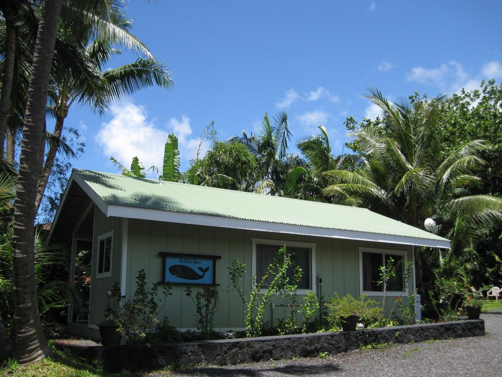 Whale House At Kehena Beach Pahoa Room photo