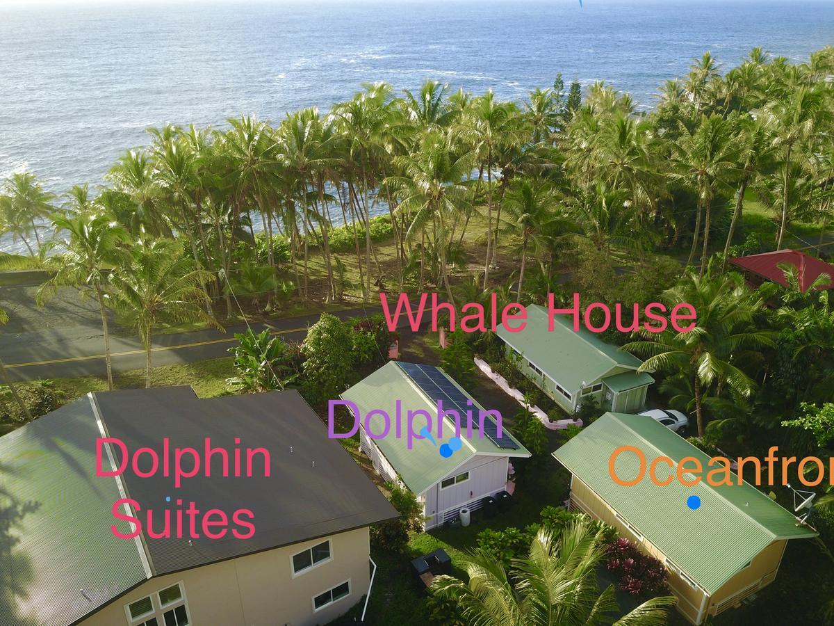 Whale House At Kehena Beach Pahoa Exterior photo