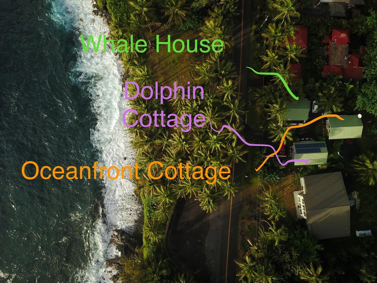 Whale House At Kehena Beach Pahoa Exterior photo